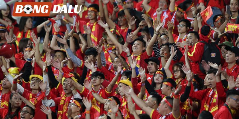 Cổ động viên Việt Nam World Cup 2026 mang cờ đỏ sao vàng trên khán đài