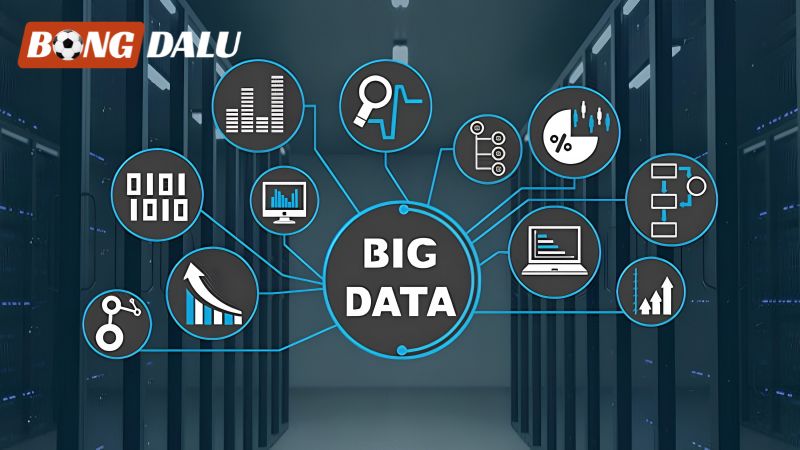 Dữ liệu Big Data từ Opta và Gracenote có vai trò thế nào trong bóng đá?