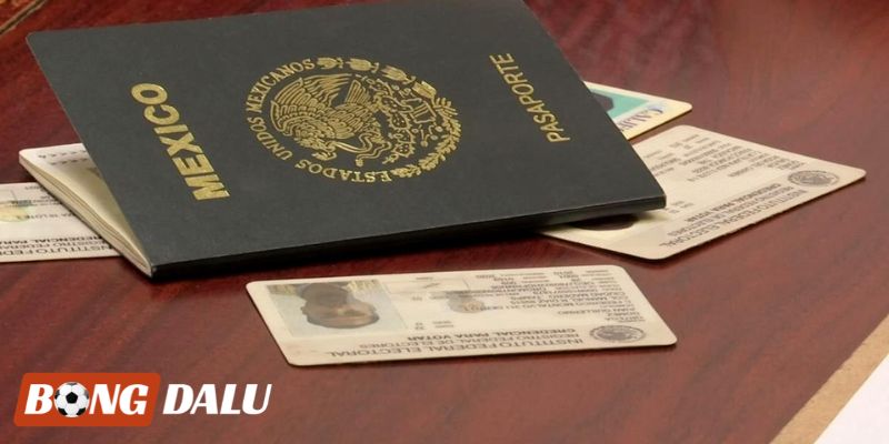 Xin miễn visa Mexico cho công dân nhập cảnh nhiều lần