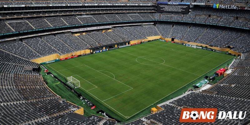 Mặt sân của MetLife Stadium đã chuyển sang mặt cỏ tự nhiên theo yêu cầu của FIFA